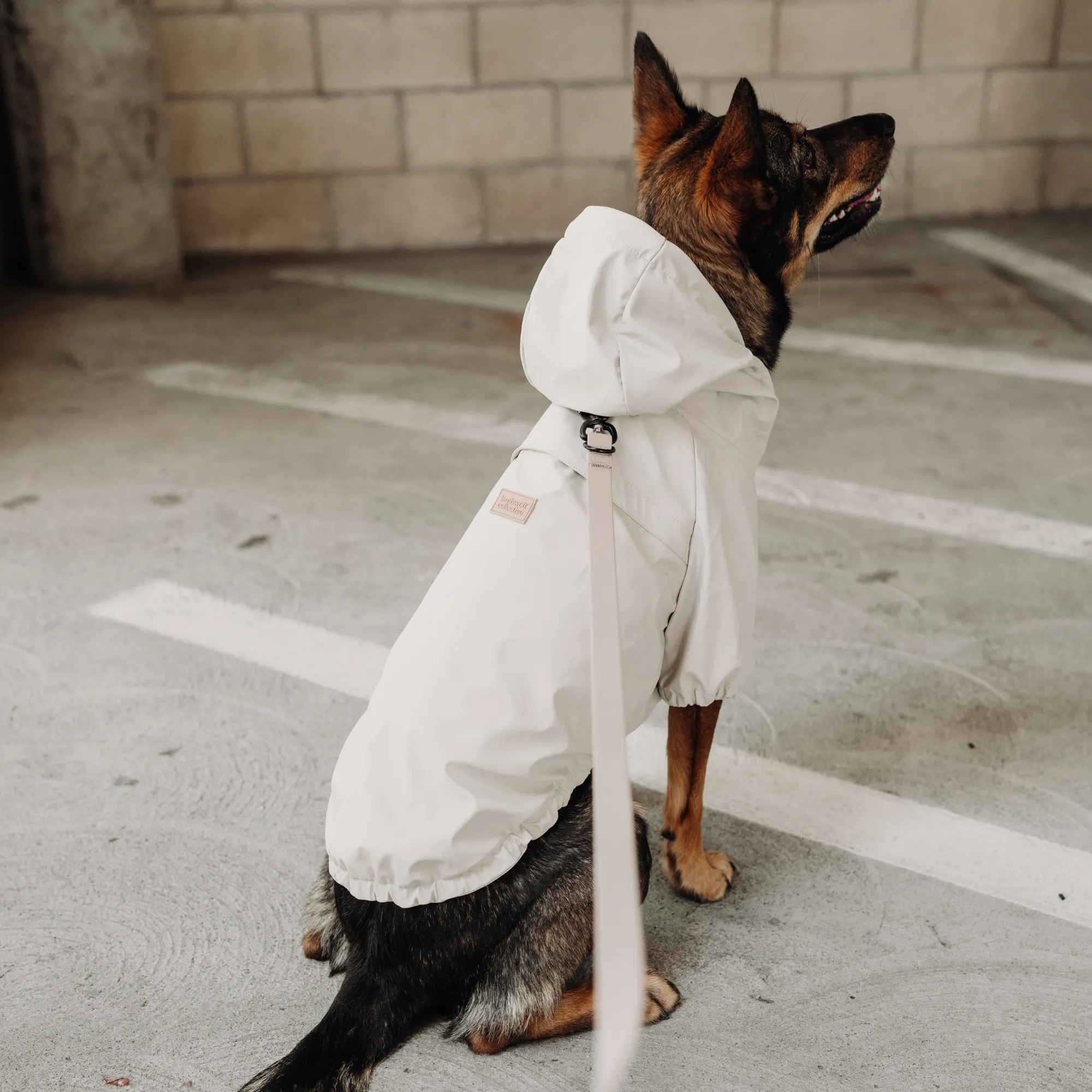 brighton rain coat