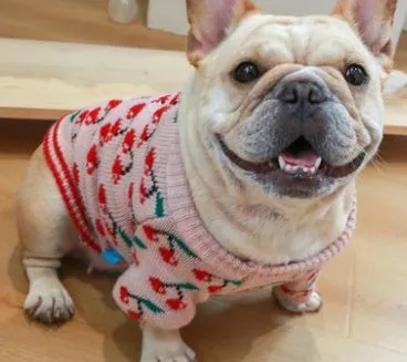 Cozy Christmas Dog Sweater - Festive Holiday Outfit for Pets