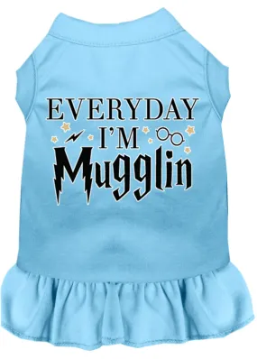 Everyday I'm Mugglin Screen Print Dog Dress Baby Blue Lg (14)