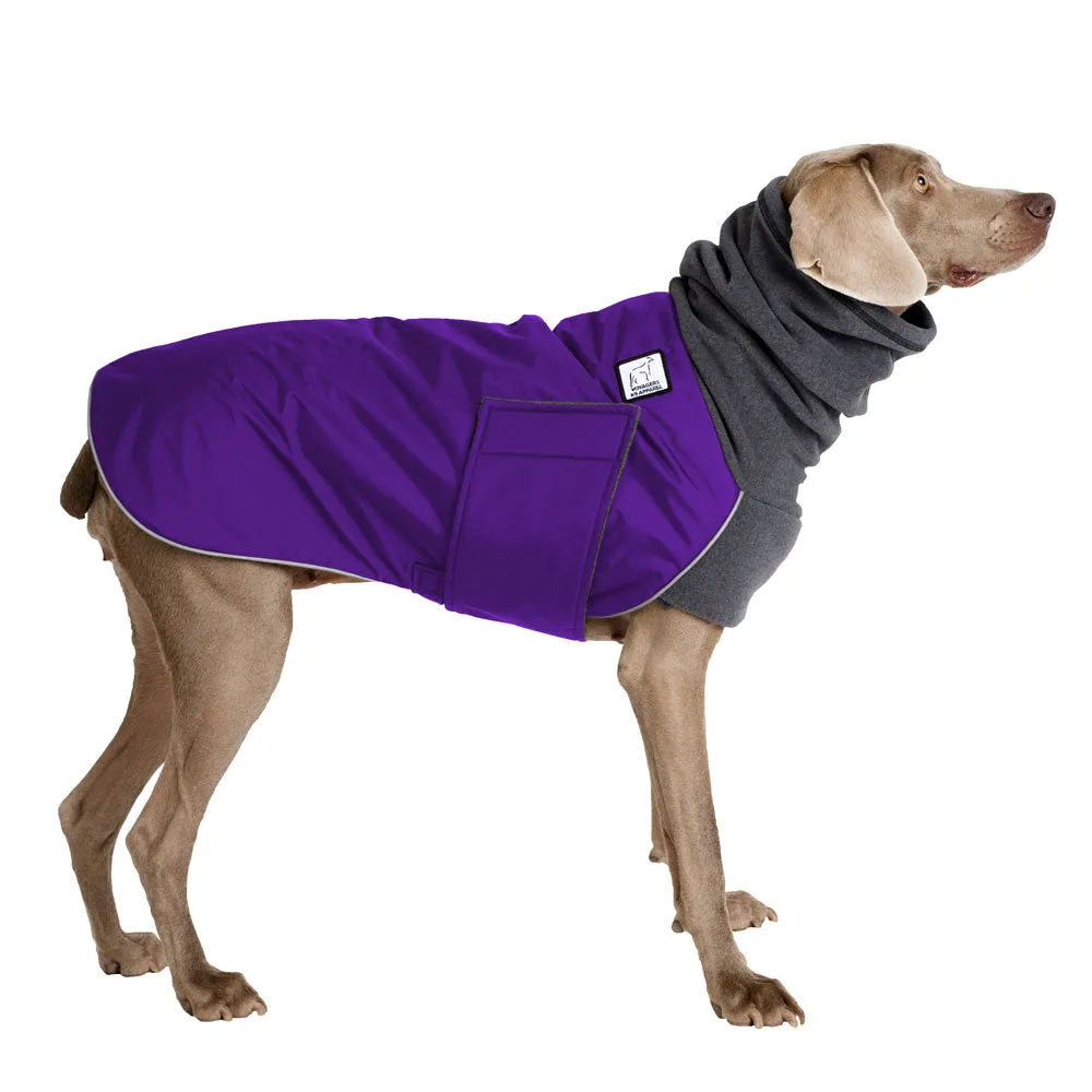 ReCoat ♻️ Weimaraner Winter Coat