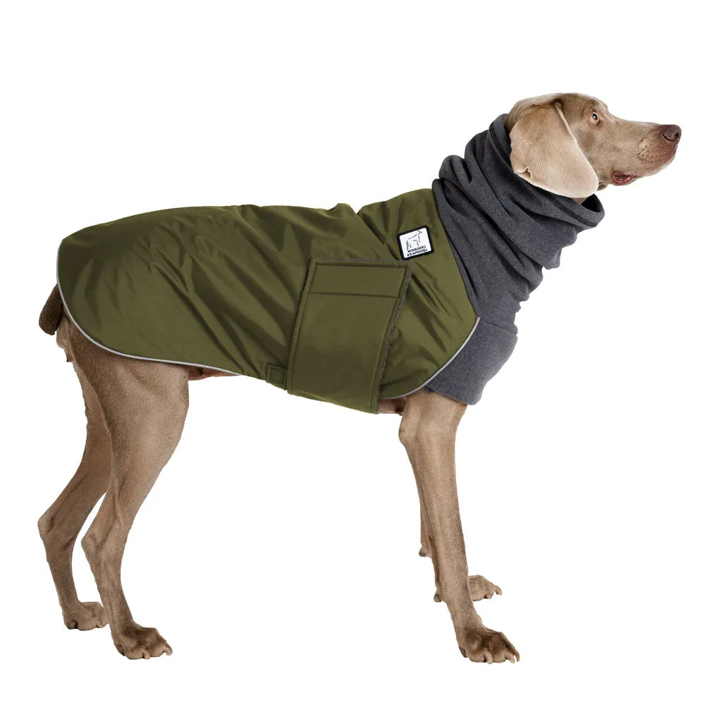 ReCoat ♻️ Weimaraner Winter Coat