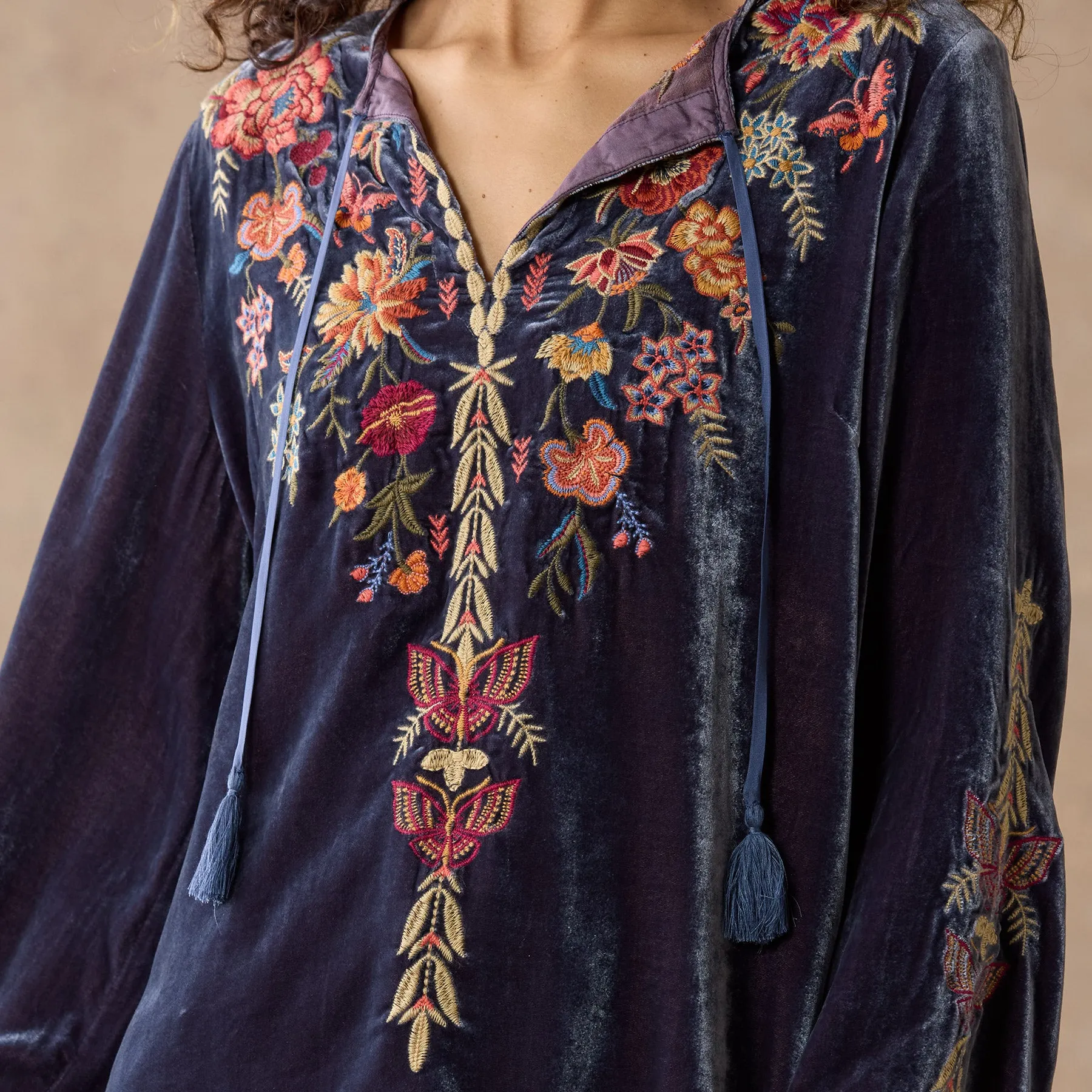 Taline Embroidered Velvet Top